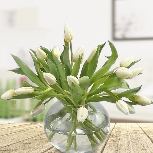 20 frische weiße Tulpen - Inklusive Grußkarte # Blumen # Frühling