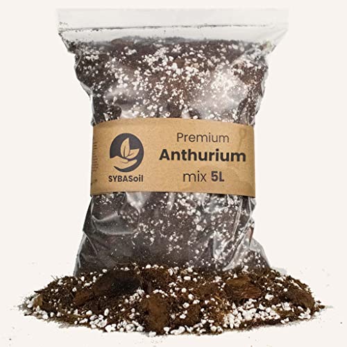 Premium SYBASoil Anthurien Erde 10 Liter , Zimmerpflanzen , Pflanzenerde Torffrei