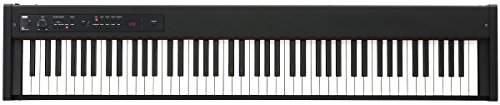 Korg Korg Korg Corporation/Digital Piano D1 Digital Piano