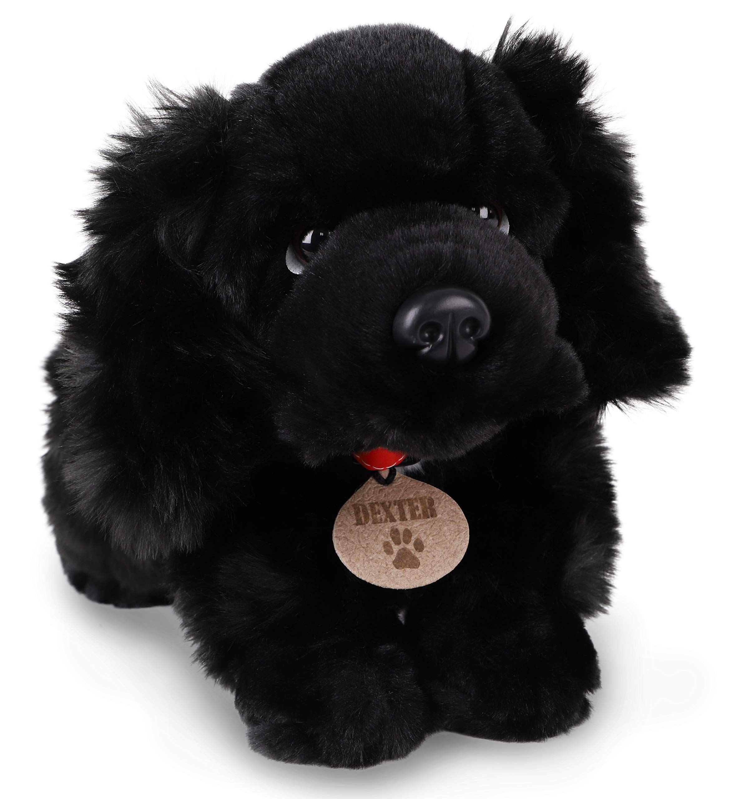 Toyland® 35 cm großer Plüschhund von Keel Toys – Kuscheltiere für Kinder – exklusiv (Dexter der Spaniel)