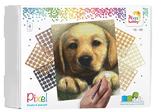 Pixel P090045 Mosaik Geschenkverpackung Hund. Pixelbild Circa 20.3 x 25.4 cm groß zum Gestalten für Kinder und Erwachsene, Bunt