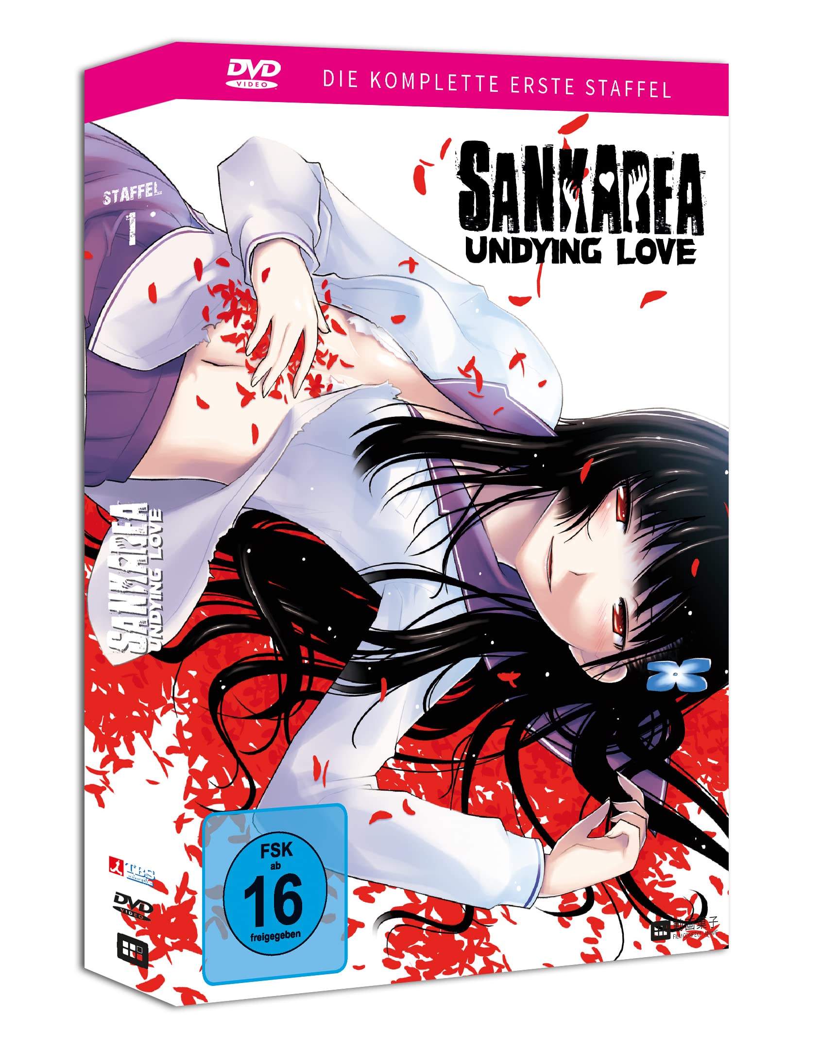 Sankarea: Undying Love - Staffel 1 - Gesamtausgabe - [DVD] Collectors Edition inkl. Acryl-Figur