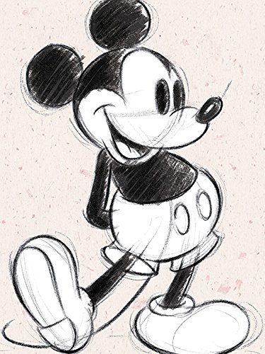 Disney Textured Sketch Leinwanddruck, Mehrfarbig, 60 x 80 cm