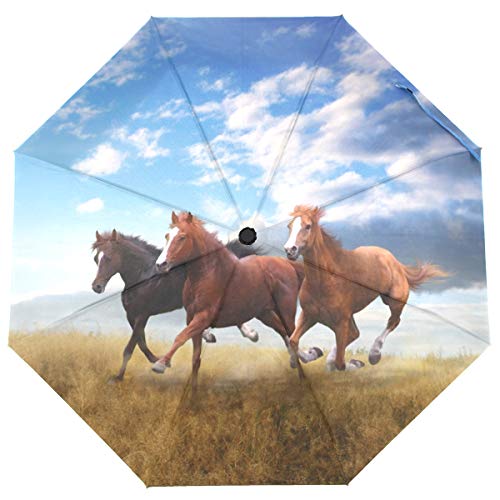 ISAOA Automatischer Faltbarer Regenschirm, kleine Herde von Pferden, schnell unterwegs, kompakt, Winddicht