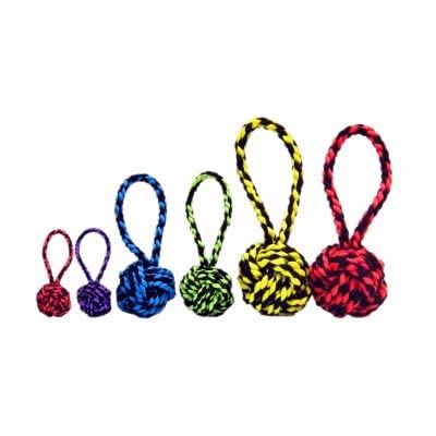 Von Multipet Nüsse für Knoten mit Tug Seil Hundespielzeug, 3,5 Farben variieren