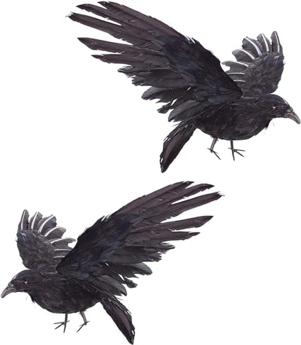 PPYQQ Realistische Krähen, lebensgroß, handgefertigt, schwarz, gefiedert, für Halloween-Dekorationen, Vögel, Größe XL (38,1 cm + 38,1 cm), 2 Stück