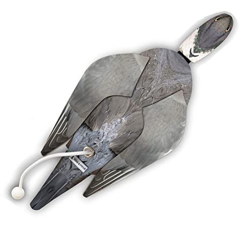 The Original Clone® Realistische Spielvogel-Trainingsschnuller – Fasan, Rebhuhn & Snipe Gundog Trainingsdummy (Wood Pigeon Dead Bird Dummy)