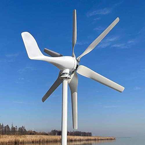 800W Windkraftanlage 12V 24V 48V Windturbine mit 6 Flügeln und kostenlosem MPPT Controller horizontaler Windgenerator für Zuhause (12V mit Controller)