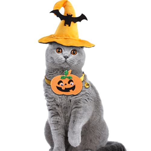 changle Halloween-Zubehör-Set für Hunde und Katzen, mit Fledermaus-Hut, Kürbis-Halsband