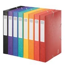 Exacompta 14000H Packung (mit 10 Archivboxen Cartobox, 24 x 32 cm, 40 mm Rücken, mit Gummizug, mit Rückenetikett) farbig sortiert, 10 Stück