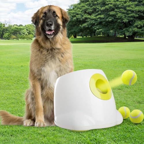 Automatischer Ballwerfer für Hunde, interaktives Apportierspielzeug, DogTennis Ball-Wurfmaschine, Tennisballwerfer, 3 Stück, 6,3 cm Tennisbälle im Lieferumfang enthalten, groß