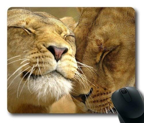 (dauerhafte Präzise Gemeinsame Mousepad) Löwen Rechteck - Mousepad