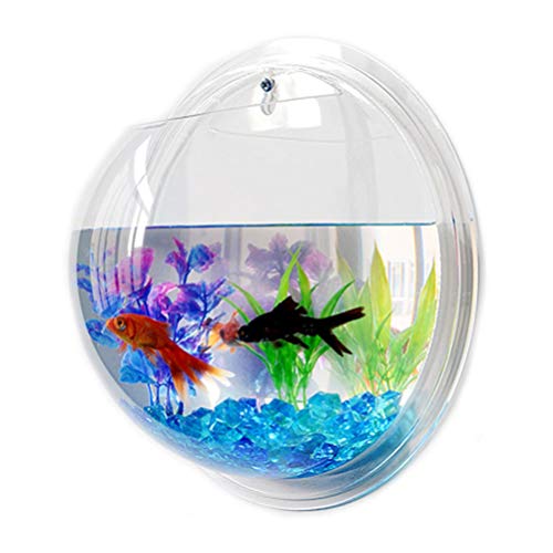 Künstliches Mini-Aquarium for Aufhängen an der Wand, Aquarium-Fisch, Blase, Fischschale, transparente Acrylvase, Blumentopf for Zuhause, Garten, Büro, 23 cm, Wanddekoration for Aquarien/145 (Color :