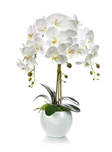 Künstliche Orchideen Kunstblumen im Übertopf aus Keramik | Gesamthöhe: 60cm | EU Handarbeit | Farbe: Weiß