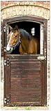 posterdepot ktt0439 Türtapete Türposter Pferd im Stall-Größe 93 x 205 cm