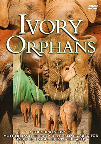 Ivory Orphans [DVD]