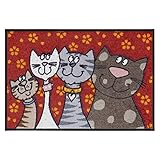 Salonloewe Fußmatte waschbar Katzenfamilie 50x75 cm HausTür-Eingangs-Matte lustig rot-bunt Tiere Fussabtreter