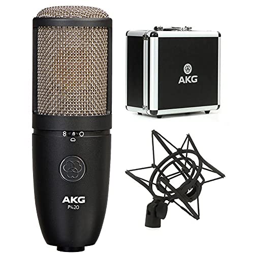 AKG Perception 420 Großmembran-Kondensatormikrofon