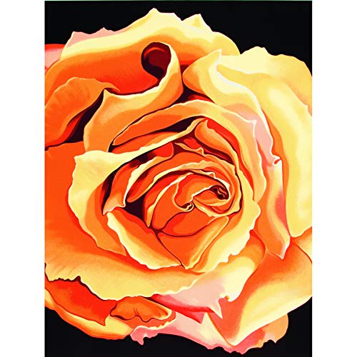 Wee Blue Coo Kunstdruck auf Leinwand mit Rosenblüten und orangefarbenem Blütenblatt