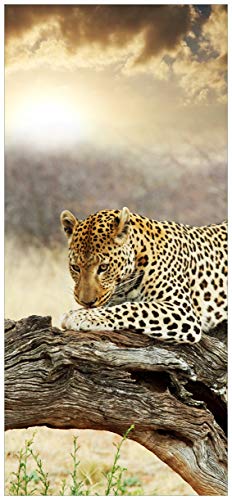 posterdepot ktt0486 Türtapete Türposter Leopard auf Baumstamm in Afrika-Größe 93 x 205 cm