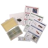 WhizKidsLab 12 Präparierte Insektenteile Mikroskop Folien Set Echte Insektenprobe Postkarten STEM Objektträger