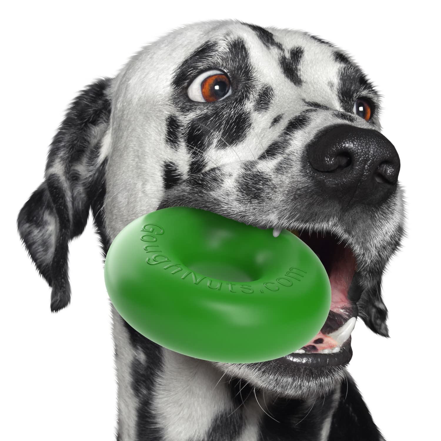 Goughnuts - Hunde-Kauspielzeug, praktisch unzerstörbar - Das Hundespielzeug für Power-Kauer hält selbst hartnäckigen Hunden Stand - Robuster Kautschukring für mittlere Rassen 13-32 kg - Grün 13 cm