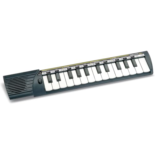 Bontempi 15 2500 Elektronik-Keyboard, Schwarz/Weiß