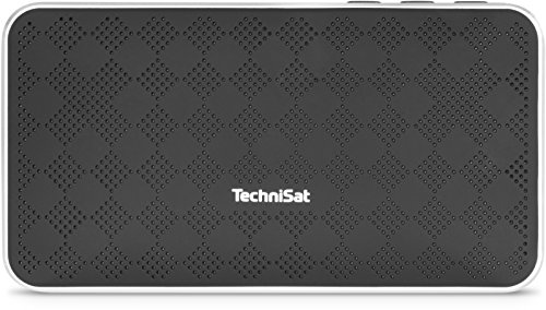 TechniSat BluSpeaker FL 200 Bluetooth-Lautsprecher (klein, tragbar, für Outdoor geeignet,mit 10 W) schwarz/silber