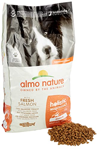 almo nature Holistic Hundefutter, Medium Dog, Lachs und Reis (12 kg)