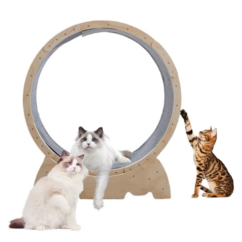 Calager Katzenlaufrad, 44-Zoll-Katzenlaufrad für Hauskatzen,Katzenlaufrad mit Teppichlaufbahn,hölzernes Katzenlaufband,Haustierübungs-Fitnessgerät zur Gewichtsreduktion für Kätzchen (Hölzern)