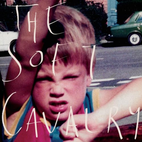 The Soft Cavalry (2lp+Mp3,Yellow+Blue) [Vinyl LP]