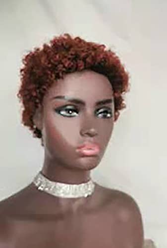 Kurze Afro Curly Perücken für schwarze Frauen Pixie Cut Kinky Curly Short Perücken 150 Prozent Dichte Afro Perücke für African American Ersatz Perücken Natural 4inch Reddish brown