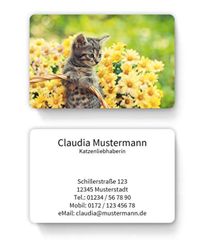 100 Premium-Visitenkarten inkl. Kartenspender - Motiv: süßes Kätzchen mit Blumen