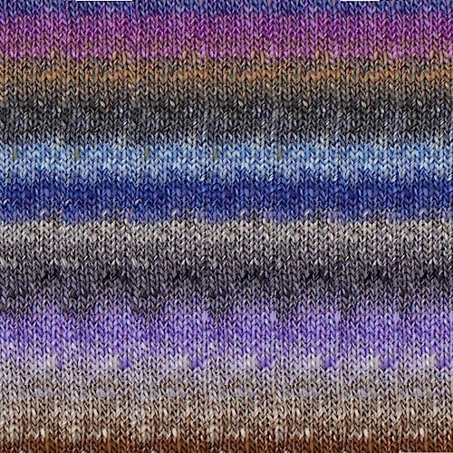 Noro Wolle Tsubame | Wolle mit Seide zum Stricken | Farbverlaufswolle zum Häkeln | 200g 600m (36 - Tama)