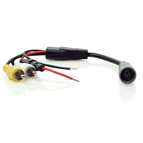 Caratec Monitor-Adapter 6-polige Kupplung auf Chinch-Stecker, schwarz, Safety Rückfahrkameras und Monitore