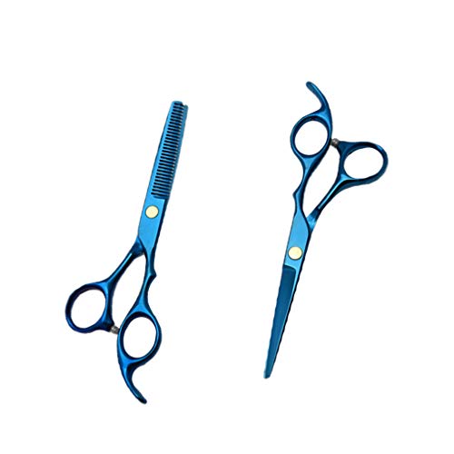 Minkissy 2 Stück 5. 5 Zoll Haarschneidewerkzeug Set Edelstahl Professionelle Haarschere Friseurschere für Salon Friseur nach Hause (Blaue Zähne Schere + Gerade Schnipsel)