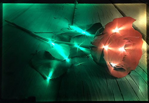 Samarkand - Lights Led Bild mit Beleuchtung LED-Bild Leuchtbild Wandbild Leinwandbild ROSE/DEKOBILD