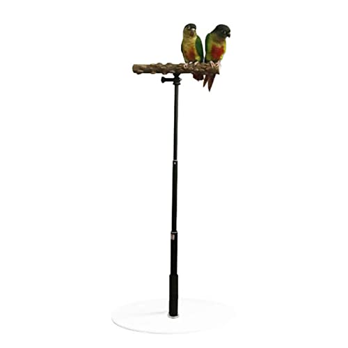 Papageien-Tischständer, 36-Zoll-Verstellbarer Ständer für Vögel, Vogelständer-Tischplatte, tragbarer Papageien-Spielständer, Vogelstangen-Tischplattenständer, aus Holz einziehbarer Stangenständer für