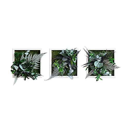 styleGREEN Pflanzenbild im Dschungeldesign 22x22cm 3er Set