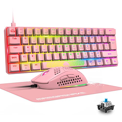 Mechanische Tastatur und Maus (Schalter rosa/blau)
