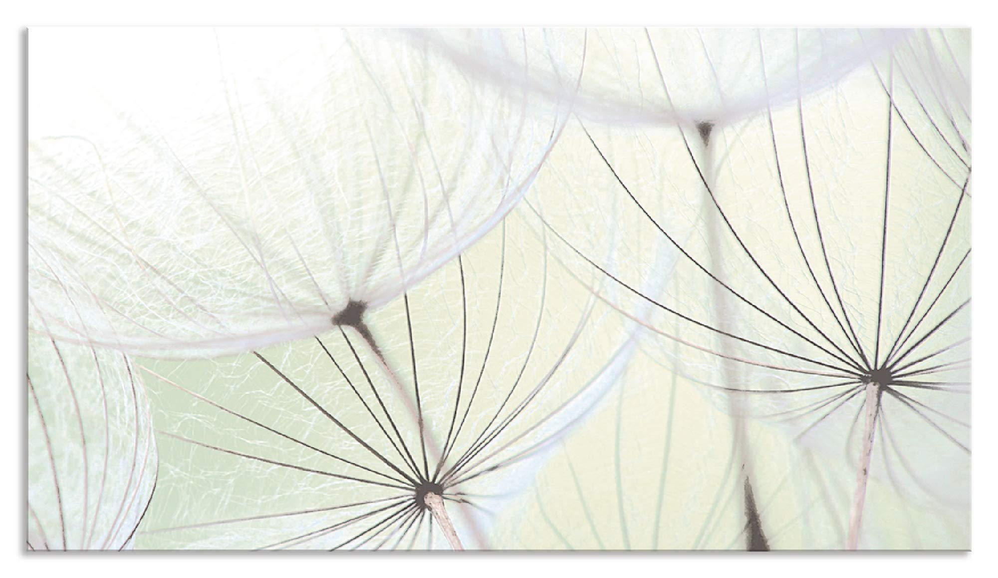 ARTland Spritzschutz Küche aus Alu für Herd Spüle 90x50 cm (BxH) Küchenrückwand mit Motiv Blume Pusteblume Landschaft Natur Zen Modern Hell Grün S9MV