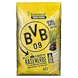 bionero® BVB WILLI'S Rasenerde 40 l Sack Bio-Rasenerde Terra Preta Schwarzerde Erde