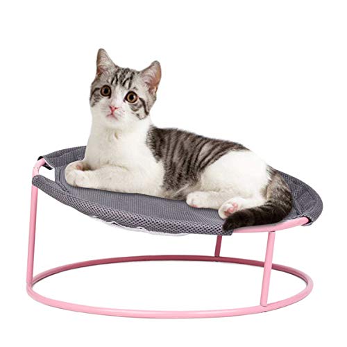 SunshineFace Abnehmbares Katzen-Hängematten-Haustier-Eisenrahmenbett für Katzenwelpenkaninchen