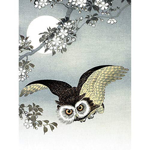 Wee Blue Coo Leinwanddruck, Motiv: Naturvogel, Eule, Japan Ohara Koson