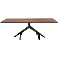 Kare Tisch Roots Dark 220x100cm, runder kantiger Esszimmertisch, Esstisch mit ausgefallenem Wurzel-Gestell, Tafel, (HxBxT) 77 x 220 x100cm, Tischplatte: Akazie Massivholz lackiert