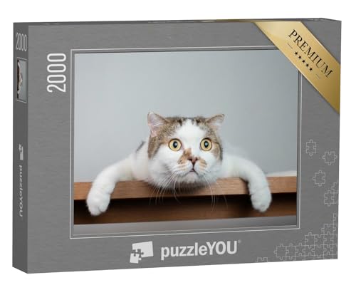 puzzleYOU: Puzzle 2000 Teile „Eine überraschte Katze“