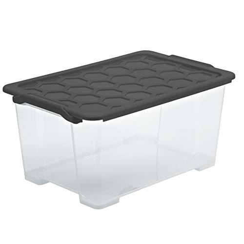 Rotho Evo Safe Keeping Aufbewahrungsbox Deckel, lebensmittelechter Kunststoff (PP) BPA-frei, anthrazit, 44l, (59 x 39,5 x 28 cm)