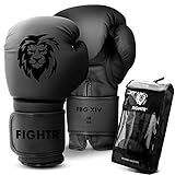 FIGHTR® Boxhandschuhe - ideale Stabilität & Schlagkraft | Punching Handschuhe für Boxen, MMA, Muay Thai, Kickboxen & Kampfsport | inkl. Tragetasche (All Black, 12 oz)