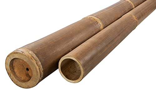 DE-COmmerce® Bambuspfosten Bambusrohr Bambusstangen für Sichtschutz Zaun Montage Bambus Dekoration Rohr aus Bambus NIGRA 180 cm - Ø 6-8 cm