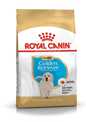 ROYAL CANIN Golden Retriever Junior 3 kg, 1er Pack (1 x 3 kg)